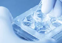 Mulher é autorizada a obter esperma de esposo falecido; entenda