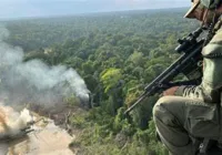 Operação desmobiliza garimbo na fronteira entre Brasil e Colombia