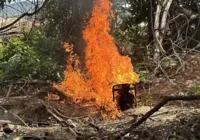 PF e Exército combatem extração ilegal de ouro em terra indígena