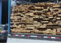 PRF apreende madeira nativa do Pará transportada ilegalmente na Bahia