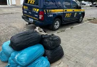 PRF apreende quase 100 kg de maconha no norte de Bahia