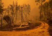 Planeta tem 12 meses de temperatura 1,5ºC acima da era pré-industrial imagem