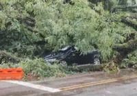 Uma pessoa morre após forte chuva em São Paulo