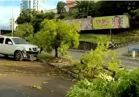 Veículo do Exército bate em árvore no Vale de Nazaré