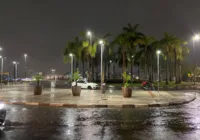 Vídeo: Chuvas causam queda de árvore e transtornos em Salvador