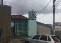 Vídeo: Guarda Civil resgata filhotes de jiboias em escola