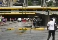 Vídeo: árvore centenária cai e fecha parcialmente a Estação da Lapa