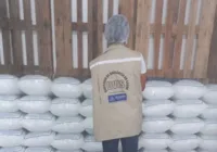 Vigilância recolhe amostras de gelo para análise de qualidade; entenda