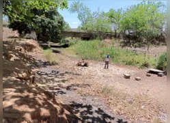 Com a dupla Ba-Vi na Série A, jogo agora é ver os gols fora de campo