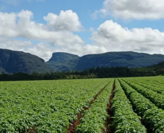 A grande virada agro brasileira