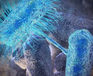 Antibióticos capazes de matar bactérias resistentes são descobertos