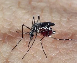 Busca por repelentes cresce 400% com dengue