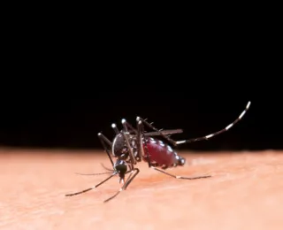 Casos prováveis de dengue se aproximam de 400 mil no país em 2024