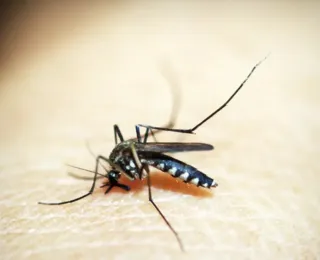 Cidade do Rio entra em situação de emergência devido a casos de dengue