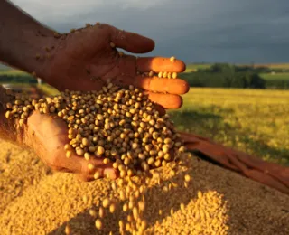 Clima faz produção de grãos cair 6,3% no país