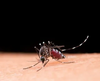 Dengue faz três estados e DF decretarem situação de emergência