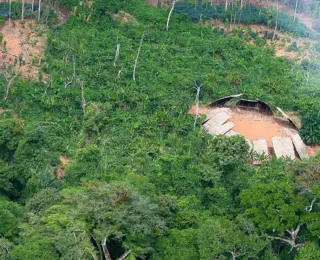 Desmatamento em áreas protegidas da Amazônia cai 73% em 2023