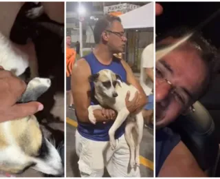 Empresário adota cão que ele resgatou no Carnaval: "Perna Bamba"