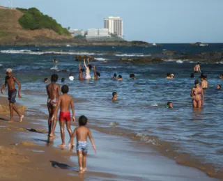 Especialistas explicam cuidados com medusas no mar de Salvador