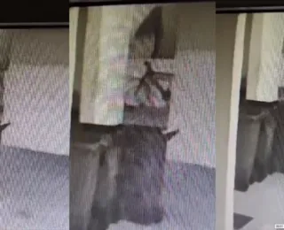 Fantasma? Ladrão com lençol furta bicicleta em Salvador; veja vídeo
