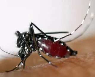 Goiânia confirma primeira morte por dengue em 2024