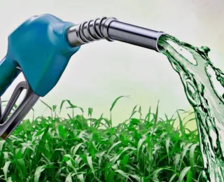 Governo atualiza regras do Selo Biocombustível Social