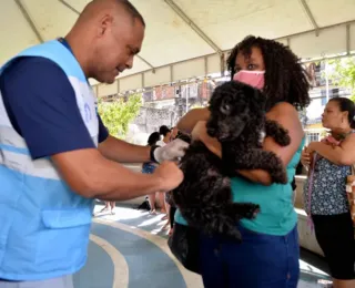 Igreja Adventista promove ação com atividades veterinárias em Salvador