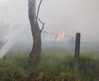 Incêndio atinge 200 hectares na maior unidade de conservação de SC