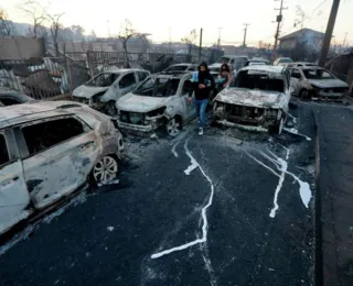 Incêndios florestais deixam mais de 50 mortos no Chile