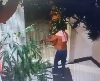 Ladrão invade condomínio e rouba árvore de Natal durante madrugada