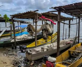 Peixe na água e rede vazia: desastre da Braskem atinge pescadores