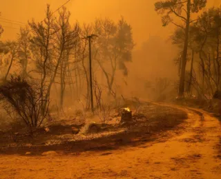 Planeta tem 12 meses de temperatura 1,5ºC acima da era pré-industrial