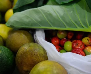 Registro de novos agrotóxicos segue em alta no Brasil, diz Mapa