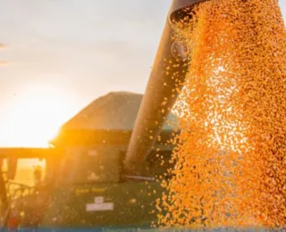 Safra baiana de grãos é estimada em 12,1 milhões de toneladas em 2023