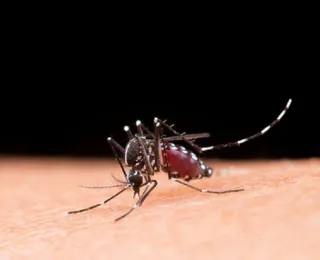 Saúde anuncia centro de emergência para conter epidemia de dengue