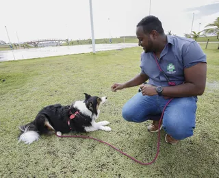 Tutores e banhistas devem adotar cuidados para bom convívio com cães