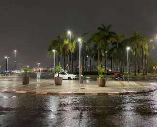 Vídeo: Chuvas causam queda de árvore e transtornos em Salvador