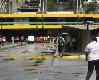 Vídeo: árvore centenária cai e fecha parcialmente a Estação da Lapa