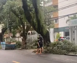 Vídeo: partes de árvores despencam no Corredor da Vitória