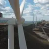 Pan American Energy conclui obras de complexo eólico - Imagem