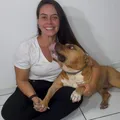 Inseto voador (mosquito palha) é vetor de doença grave imagem