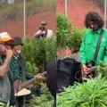Planet Hemp faz show e videoclipe em plantação de maconha imagem