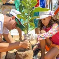 Salvador vai sediar encontro nordestino de arborização urbana imagem