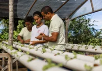 A educação é o nosso futuro como nação