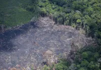 Ações coletivas de pequenas empresas podem mitigar crises climáticas