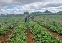 Agricultores de Irecê recebem visita do projeto Bahia Sem Fome