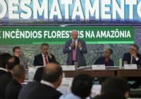 Amazônia terá R$ 730 milhões para combate a incêndios e desmatamento