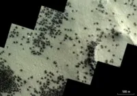 Aranhas são detectadas por Sonda na superfície de Marte