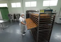 Bahia é referência global em desenvolvimento rural e inspira projeto