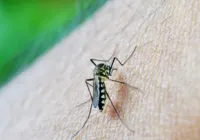 Bahia registra 160 mil casos prováveis de dengue